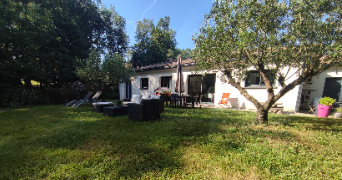 chloe pet sitter à POMPIGNAN 82170_6