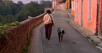 axelle pet sitter à RABASTENS 81800_2