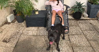 leila pet sitter à MARSEILLE 08 13008_7