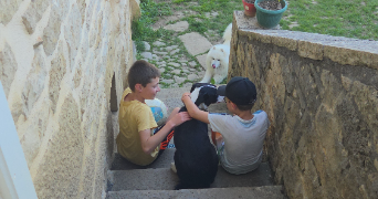 emilie pet sitter à LAISSAC SEVERAC L EGLISE 12310_3