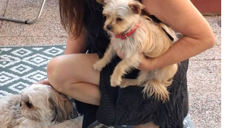 christine  pet sitter à POUZAY 37800_20