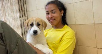 salma pet sitter à Cluny 71250_3