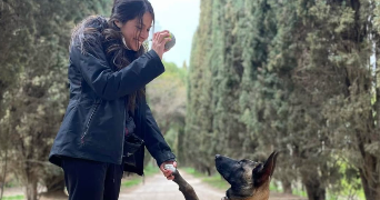 alexandra pet sitter à CANNES 06400_0