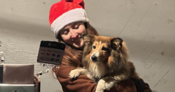 julie pet sitter à PRINQUIAU 44260_2