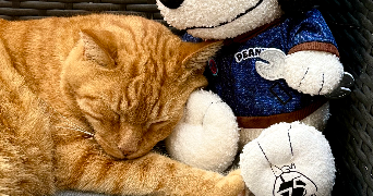 héloïse pet sitter à CHARTRES 28000_2