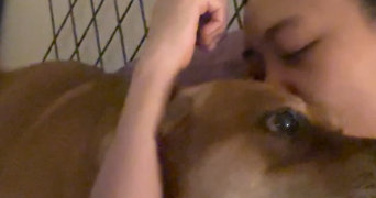 ayu pet sitter à BREST 29200_2