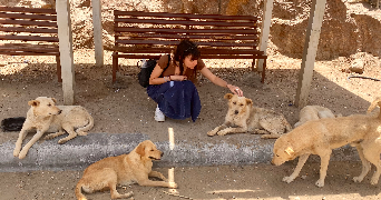 flore pet sitter à NEUILLY SUR SEINE 92200_2