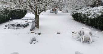 hang dog sitter à ARMENTIERES EN BRIE 77440_1