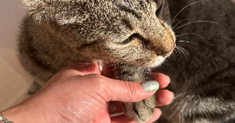 francisca pet sitter à PARIS 17 75017_3