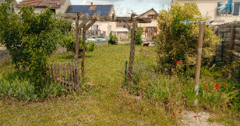 evelyne pet sitter à LIMAY 78520_3