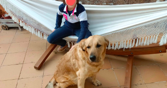 lola pet sitter à MONTEVRAIN 77144_1