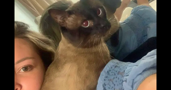 elina pet sitter à EPINAY SUR SEINE 93800