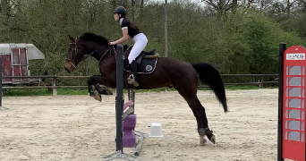 ninon pet sitter à LE MANS 72000_2