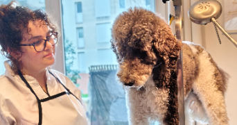 cirlene pet sitter à LE PECQ 78230_4