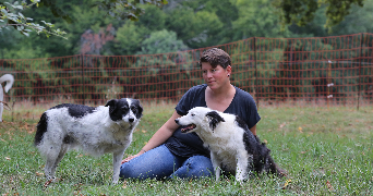 reija pet sitter à SANILHAC 24750_1
