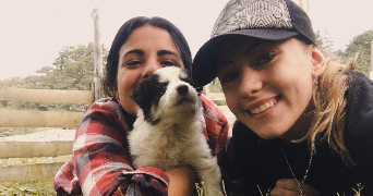 camila pet sitter à CAMBRAI 59400_4