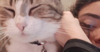 elaia pet sitter à LE PRADET 83220_2