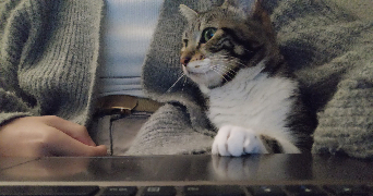 Lauriane pet sitter à NANTES 44300_2