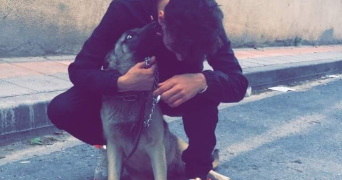 yazid pet sitter à TRAPPES 78190_1