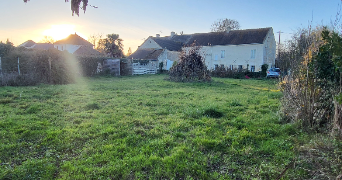 jeremy pet sitter à GRAINVILLE LANGANNERIE 14190_2