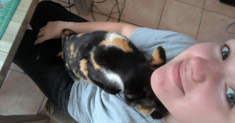 laura pet sitter à Vy-lès-Lure 70200_3