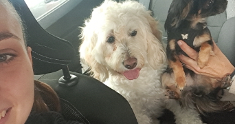 carla pet sitter à CAGNES SUR MER 06800_1
