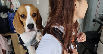 natchasorn dog sitter à MOLSHEIM 67120_3