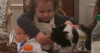 flore pet sitter à Paris 75017_3