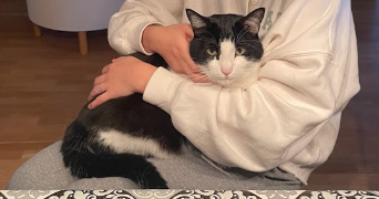 charles pet sitter à ISSY LES MOULINEAUX 92130_3
