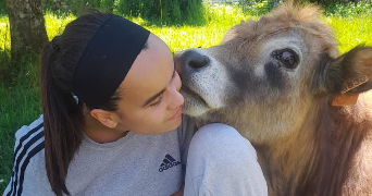 garance pet sitter à LIMOGES 87000_0