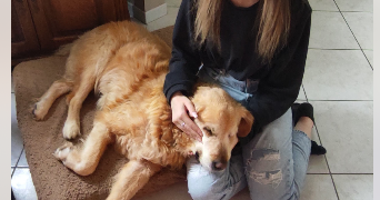 sarah pet sitter à L ISLE ADAM 95290_7