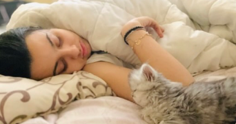ilef pet sitter à MENTON 06500_1