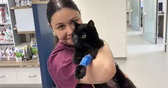 liliane pet sitter à DRAVEIL 91210