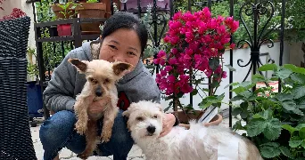 quynh pet sitter à NEUILLY PLAISANCE 93360