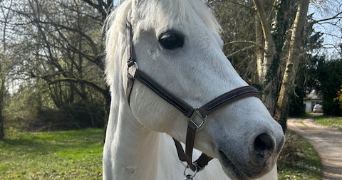 laure pet sitter à BUCY LE ROI 45410_7