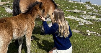 ingrid pet sitter à BOURG EN BRESSE 01000_3