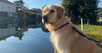 juliette pet sitter à AIX EN PROVENCE 13100_2