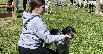 fanny pet sitter à Nimes 30000_2