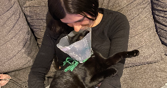 enora pet sitter à BREST 29200_7