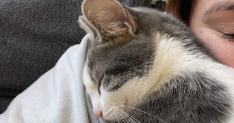 alice pet sitter à ST SEBASTIEN SUR LOIRE 44230_2