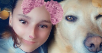 mandy pet sitter à Bourges  18000_1