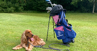 emma pet sitter à DIJON 21000_3