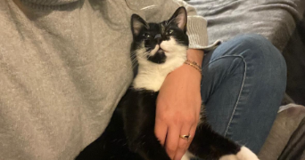 lauriane pet sitter à ANNECY 74000_0