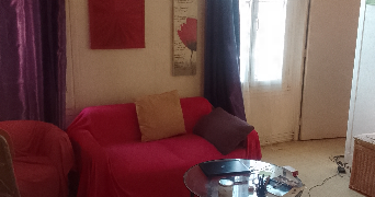 simonetta pet sitter à PARIS 11 75011_1