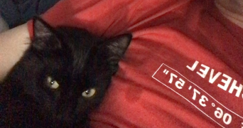 paul pet sitter à THIONVILLE 57100_2