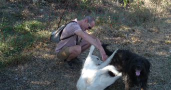 didier pet sitter à DRAGUIGNAN 83300_1
