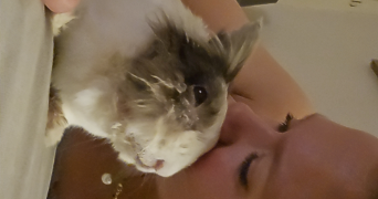 tiffany pet sitter à LE PERREUX SUR MARNE 94170_1