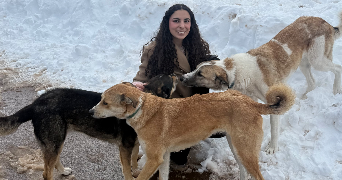 sofia pet sitter à NOYAL CHATILLON SUR SEICHE 35230_3