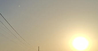 maeva pet sitter à LA BAULE ESCOUBLAC 44500_0