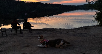 sarah pet sitter à LE CHESNAY ROCQUENCOURT 78150_5